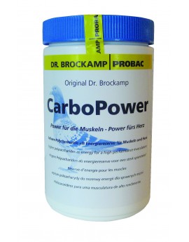CARBO  POWER 500 g