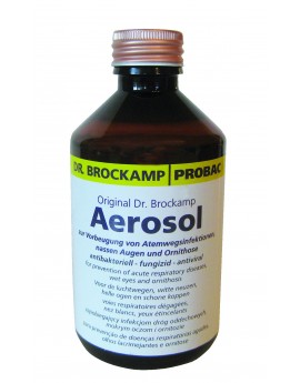 AEROSOL  250 ml  